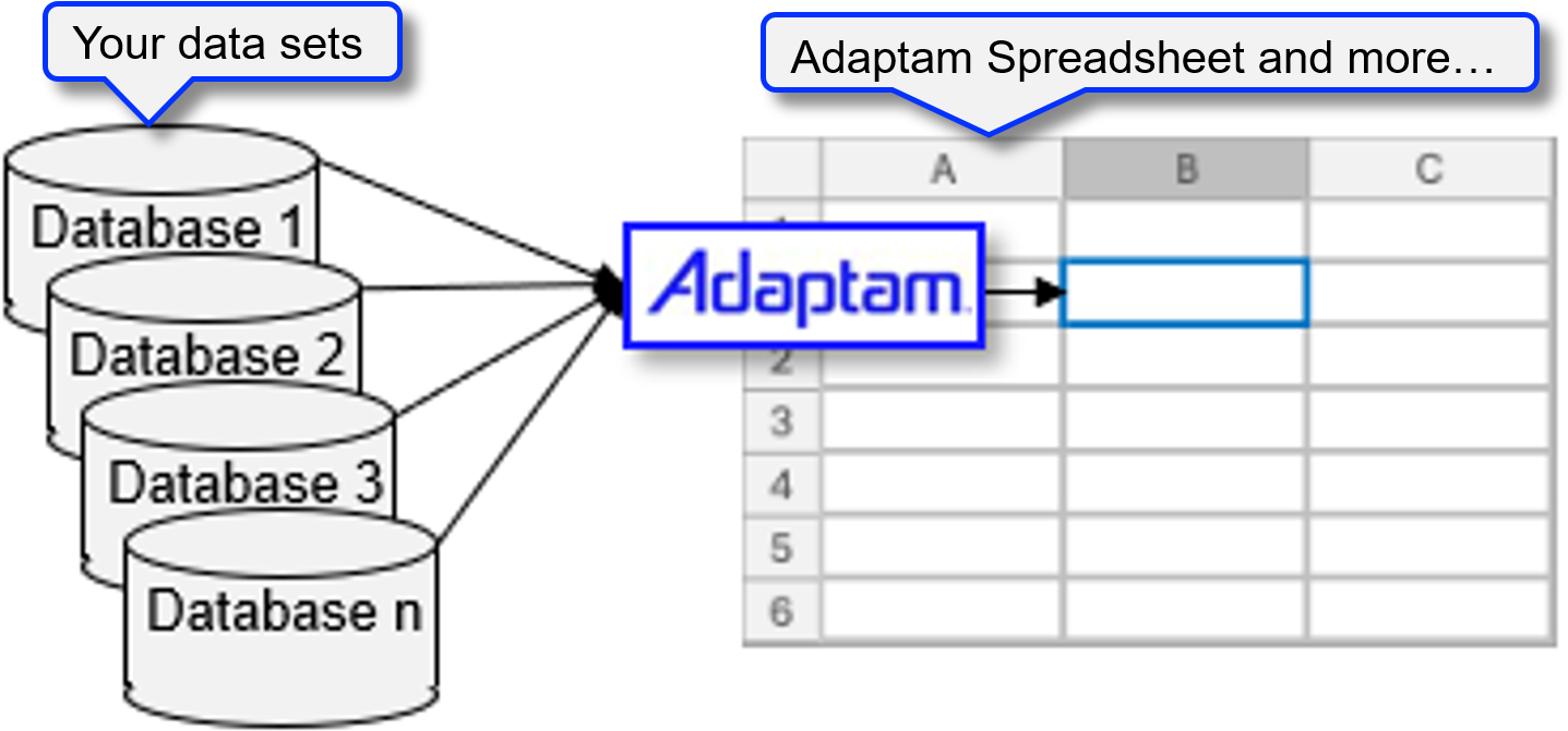Databases connected to Adaptam which outputs to a spreadsheet, showing the data-to-formula pipeline